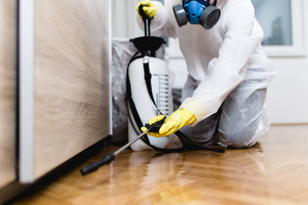 Best Flea Control Services  in Lampasas, TX