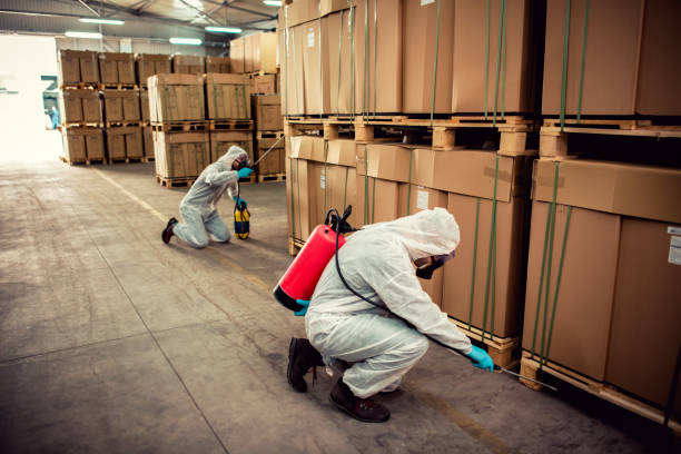 Pest Control for Restaurants in Lampasas, TX