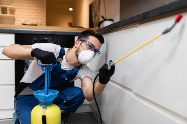 Pest Control Cost in Lampasas, TX