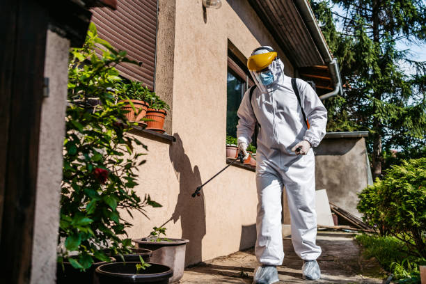 Flea Control Services in Lampasas, TX
