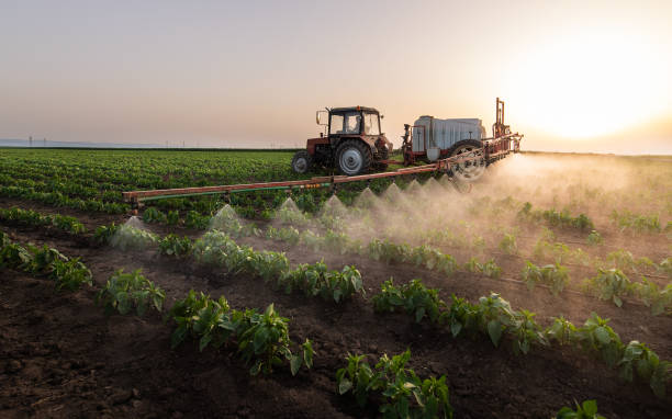 Best Mosquito Control Services  in Lampasas, TX