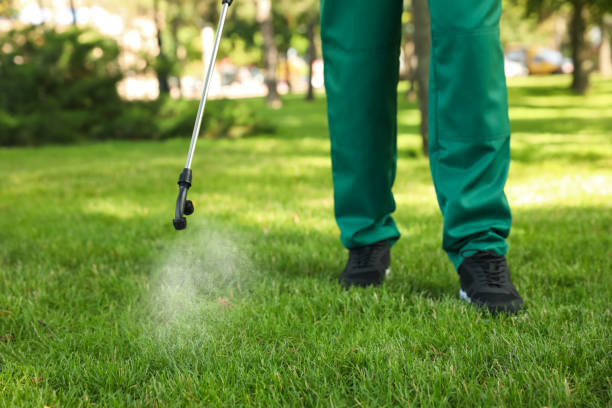 Best Best Pest Control Companies  in Lampasas, TX