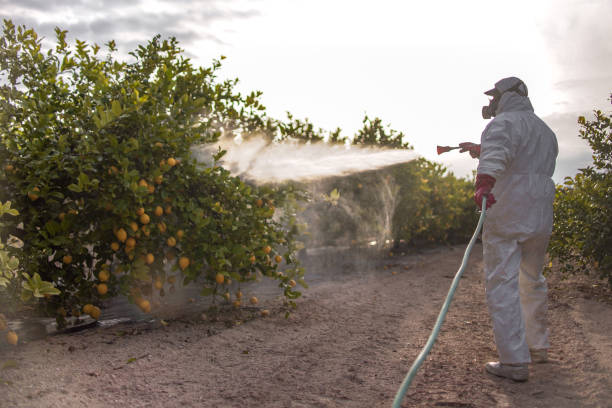 Best Best Pest Control Companies  in Lampasas, TX