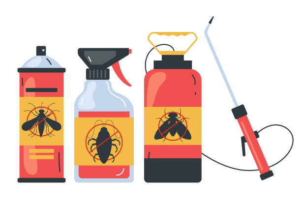 Best Affordable Pest Control Services  in Lampasas, TX