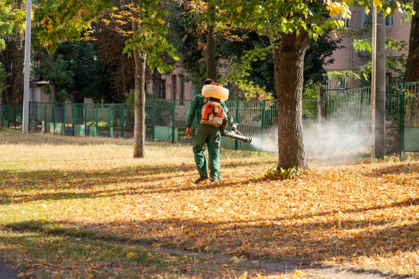 Best Termite Control Services  in Lampasas, TX