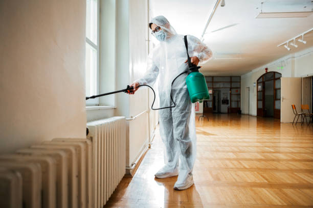 Best Exterminator Services  in Lampasas, TX