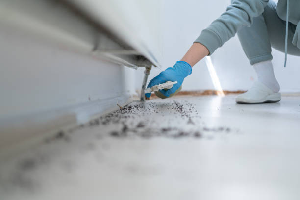 Best Affordable Exterminators  in Lampasas, TX