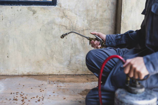 Best Pest Removal Services  in Lampasas, TX